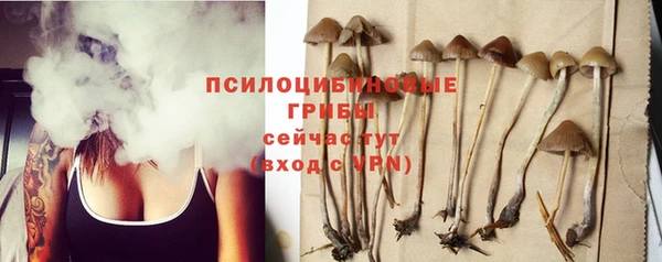 тгк Абаза