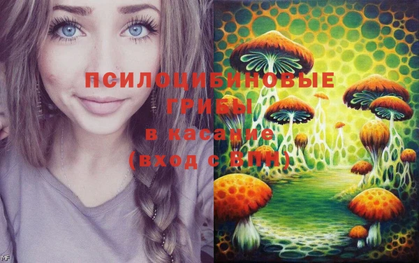 МДПВ Абдулино