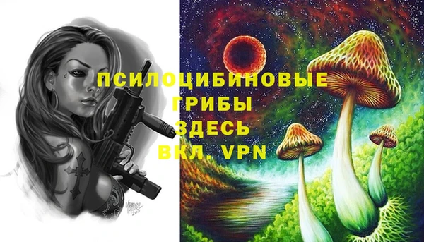МДПВ Абдулино