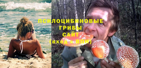 хмурый Абинск